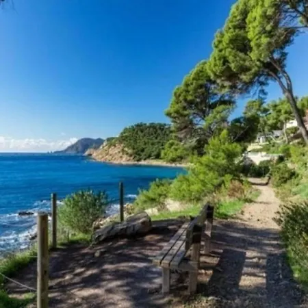 公寓 T3 Avec Piscine, Jardin Et Parking - Proche Plages Et Commerces - Fr-1-316-219